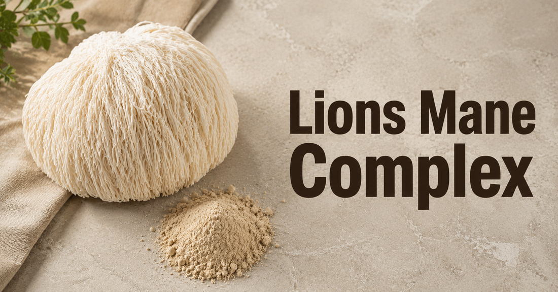 Whole lion's mane mushroom and dried mushroom extract powder arranged together, illustrating the raw-to-extract concentration process described in a supplement label.