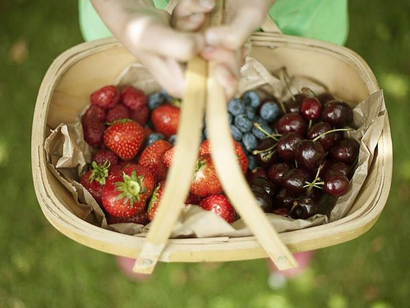 The Benefits of Antioxidants | Qivaro USA